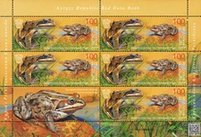 2019 Kyrgyzstan Fauna Reptiles and Amphibians Central Asiatic frog MS MNH