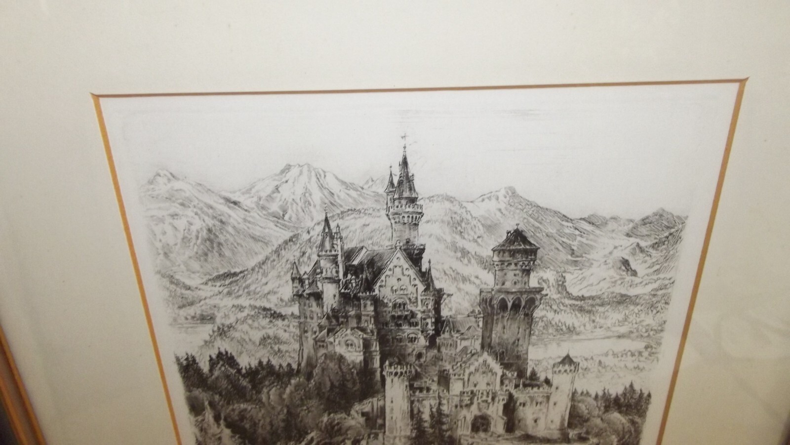 Picture 9 of 15