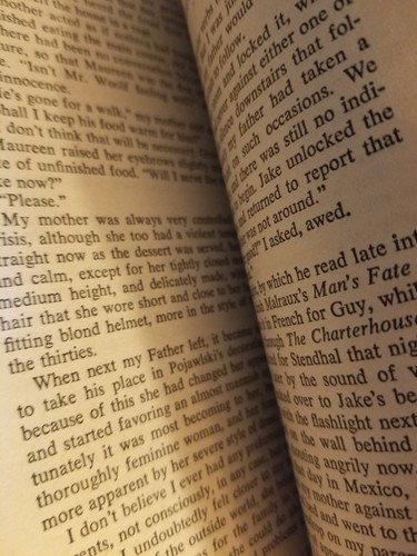 Bicycle On The Beach A Novel By Peter Viertel. 1st Printing. Dell. - Picture 5 of 6