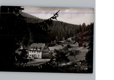 50319039 - 7560 Erbersbronn Gasthaus zum gruenen Wald