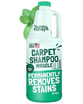 Heavy Duty Carpet Cleaner Solution for 32 Fl Oz (Pack of 1) Spring Mint Scent