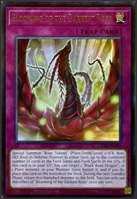 Blooming of the Darkest Rose - L5DD-ENA25 - Ultra Rare - 1st Ed - NM/M