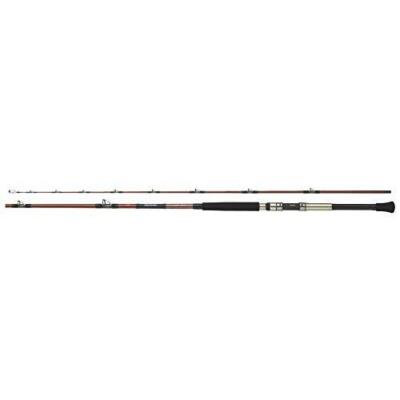 ロッド DAIWA DEEPZONE 200-210 Daiwa Deep Zone 200-210 Offshore Boat Rod | eBay