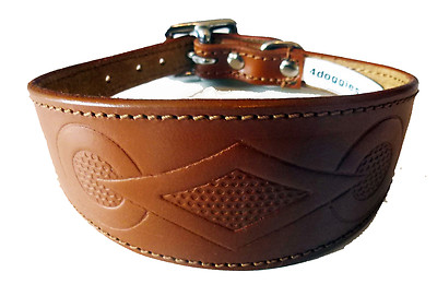 padded greyhound collars