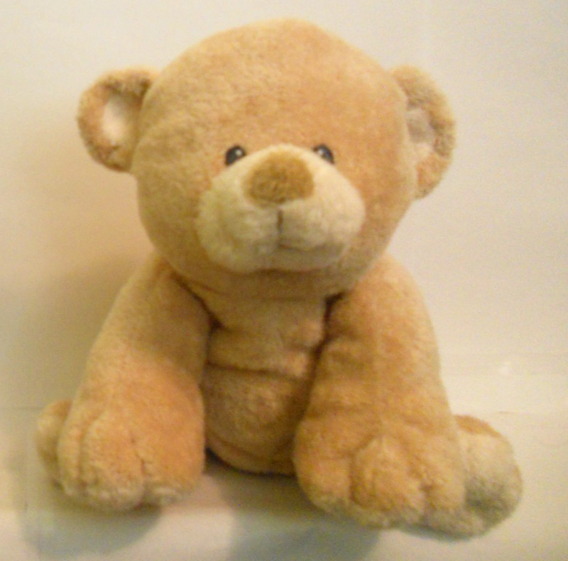 Ty Bear Soft Sewn Eyes ***Modified Read*** 8.5" Stuffed Toy 2007 (No Hang Tags)