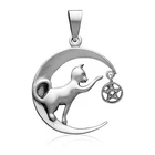 925 Sterling Silver Cat on the Crescent Moon Celestial Pentagram Wiccan Pendant