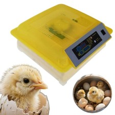 Small Egg Incubator Chicken Hatching Machine 110V 48Eggs