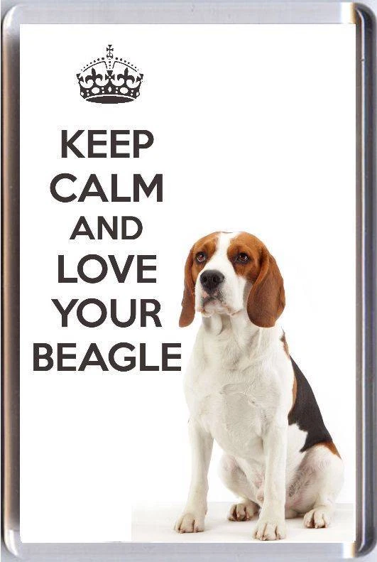 Are beagles best sale calm
