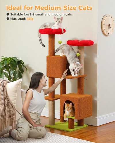 PAWZ Road Cat Tree Tower Condo Scratching Post Scratcher House for Large Cats - Picture 39 of 42