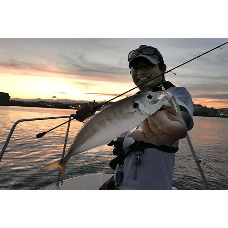 ロッド Abu Garcia Salty Style Quad Concept Abu Garcia Salty style Quad concept SSQS-5102ULS/632LT-KR