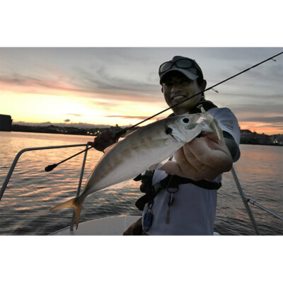 ロッド Abu Garcia Salty Style Quad Concept Abu Garcia Salty Style Quad Concept SSQS-5102ULS-KR Ajing