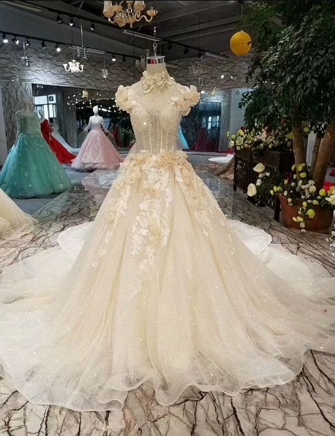 Light Champagne Wedding Dresses with Beads 3D Florals Court Train Bridal  Gowns | eBay