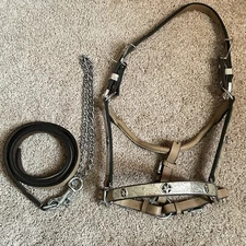 Leather Silver Tone Star Show Halter Matching Lead Mini Small Pony Weanling