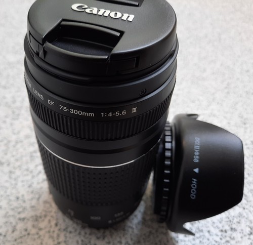 Canon EF 75-300mm 1:4-5.6 III Telephoto Zoom Lens for,- Canon EOS DSLR Cameras - Picture 14 of 14