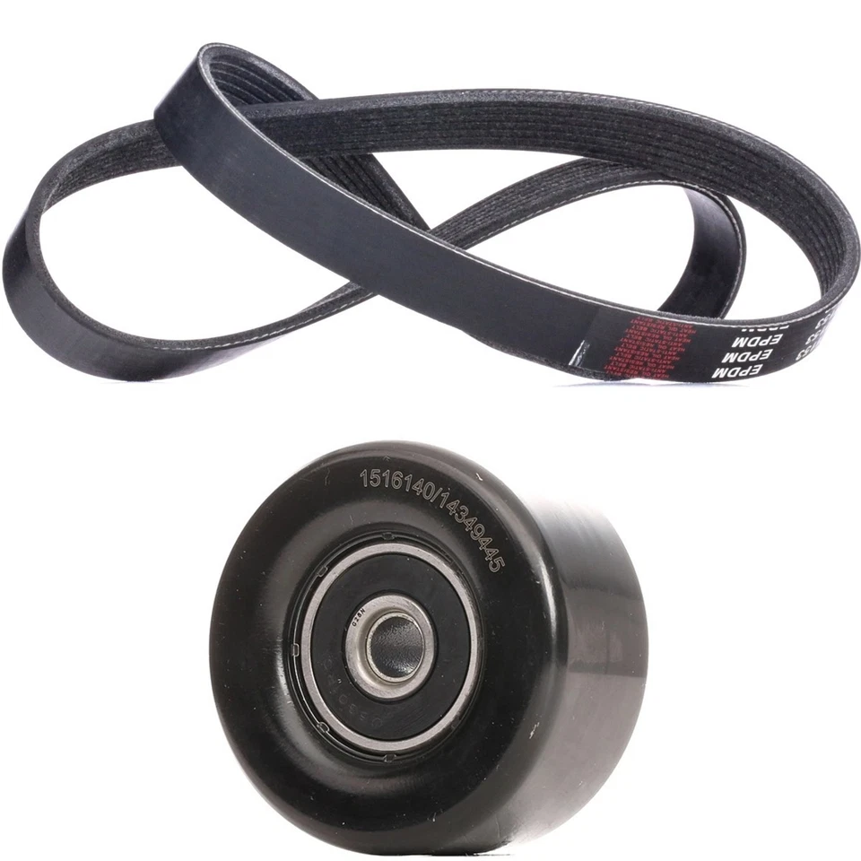 RIDEX 542R1238 Keilrippenriemensatz für Nissan Qashqai +2 I J10, NJ10 1.6