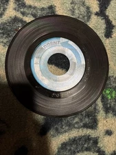 Rare! Ardent   Big Star- Watch The sunrise/ Don’t Lie To Me 45 Vinyl 7” Promo Ex