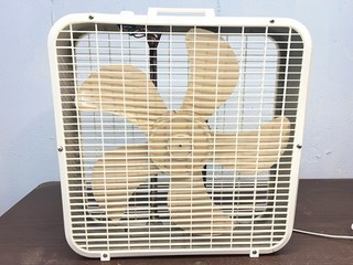Lakewood 223 3 Speed 20” Box Fan