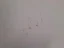 Bild 2 von 4