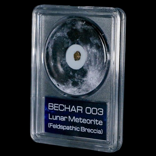 Moon Rock Lunar Meteorite Bechar 003 Algerian Sahara Desert Discovered 2022 COA - Picture 5 of 5