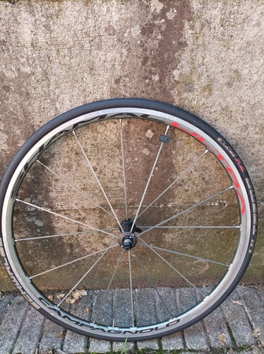 Campagnolo Shamal Ultra road bike aluminum wheels clincher 10s carbon hubs RARE! - Imagen 3 de 10