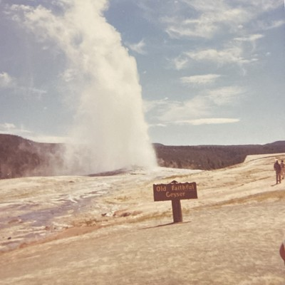 #ad 1966 Old Faithful Geyser Sign Yellowstone National Park Wyoming Old Photo P18p14 $19.99