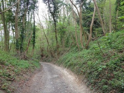 Foto 12x8 Lower Warren Road, in der Nähe von Blue Bell Hill Kit's Coty c2017