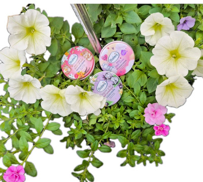 SET NEU 3 Stück Pflege Creme Balea Beauty Süßer Traum Duft Print