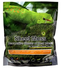 Natural Green Real Moss for Terrariums and Decor 8 Quart