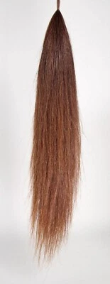 DOUBLE False Tail Mid CHESTNUT Genuine Horse 80CM 32“ False Horse Tail 360g - Bild 1 von 4