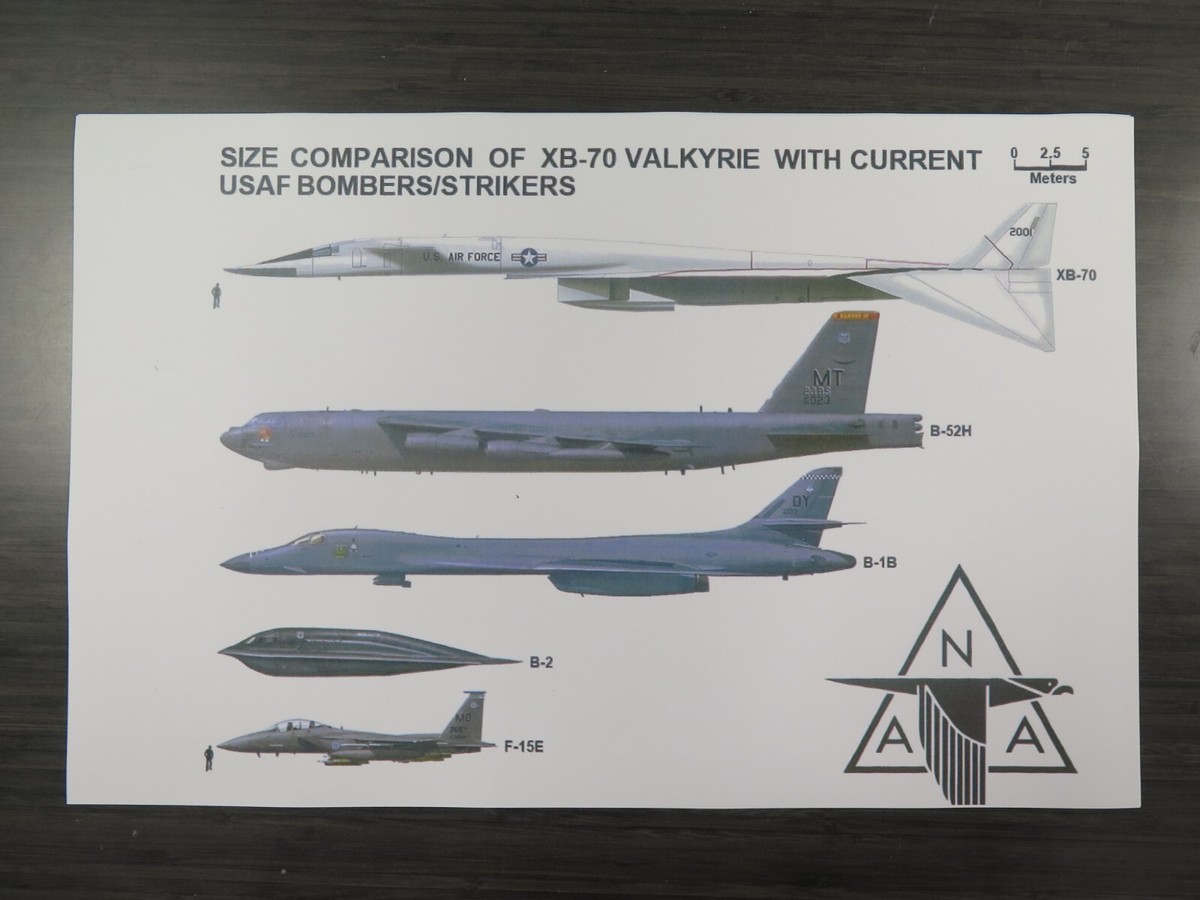 air force 1 size comparison