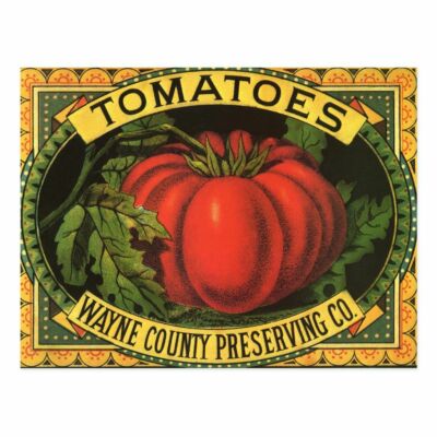 Handmade Set of TWO 5x7 Vintage Tomatoes Label Craft Fabric Blocks