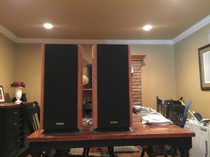 infinity reference standard