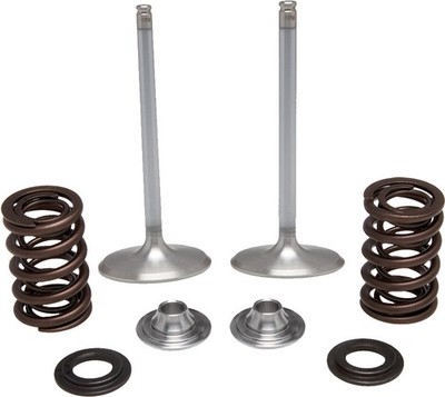 KibbleWhite Precision Intake Only Stainless Conversion Valve/spring kit 40-40350