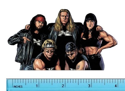 WWE DX HHH Chyna Outlaws XPac Degeneration X Wrestling Water