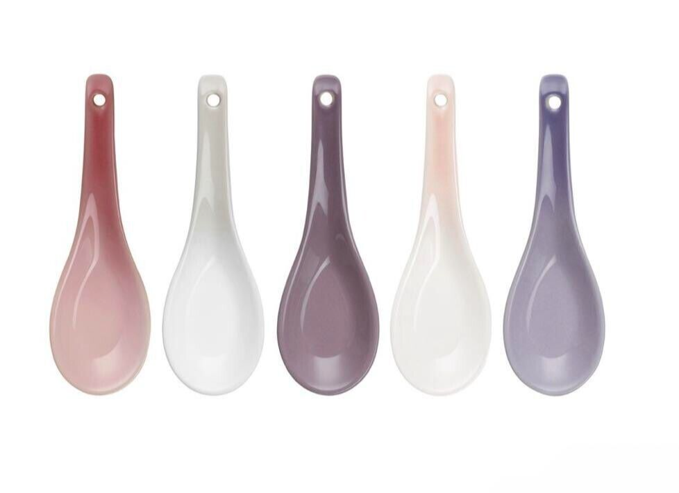 Le Creuset Renge Spoons PASTEL Rainbow Chinese Spoon Set of 5 RQ/M