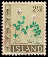 ICELAND 366 - White Clover "Trifolium repens" (pb22692)