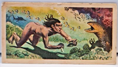 BROOKE BOND Das Meer unsere andere Welt Sammelkarten Einzelkarten 1974