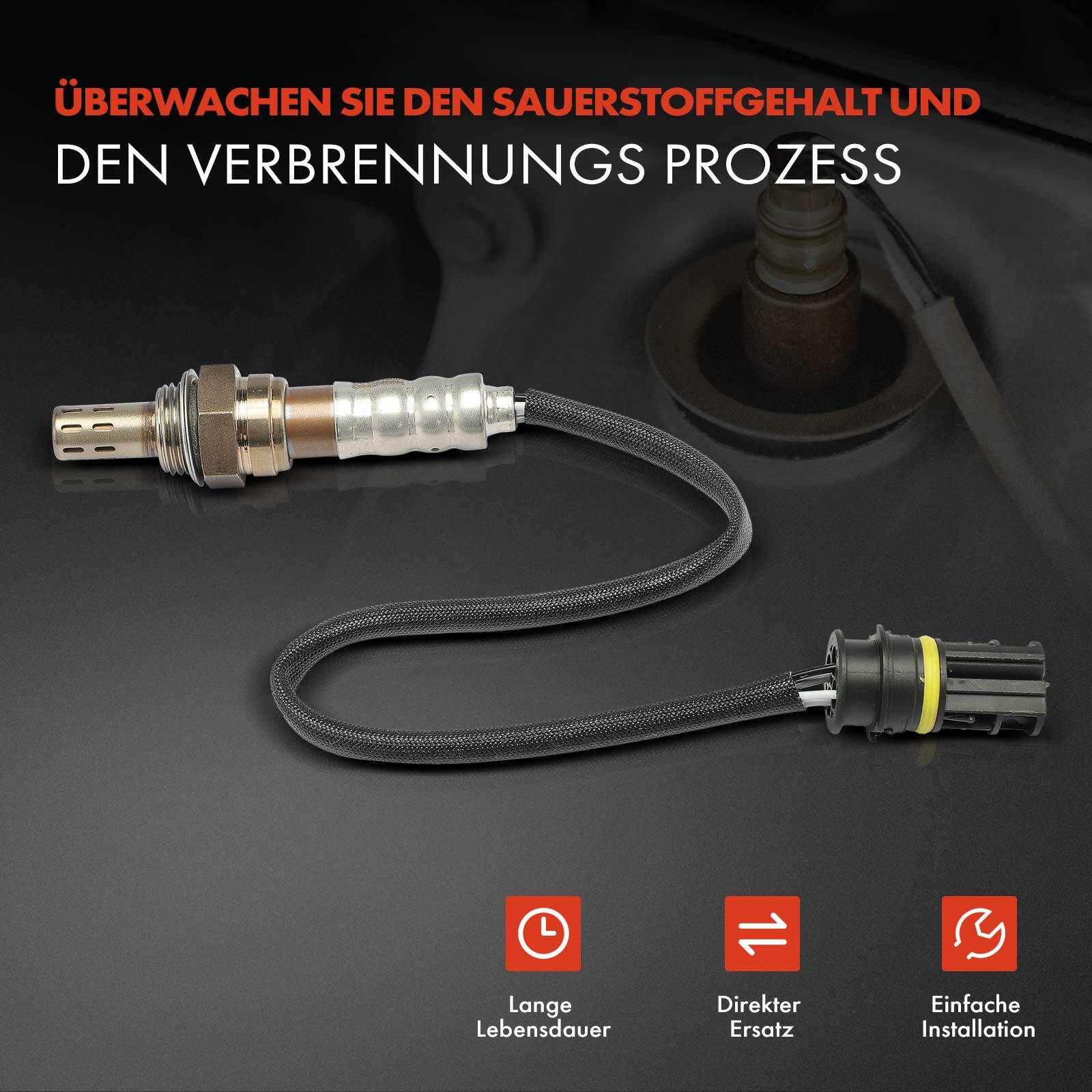 Bild 3 von 10