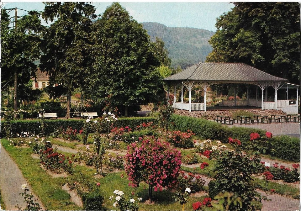 SAVERNE - La Roseraie - Photo 1/1