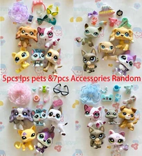 Cute Littlest Pet Shop LPS Cats and Collie Dogs (5pcs Random toys) Shorthair Cat