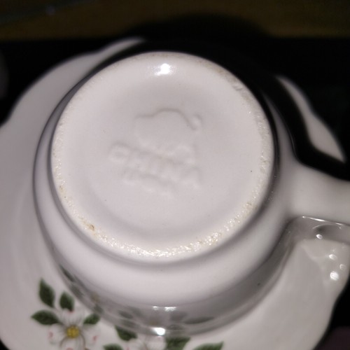 Buffalo Pottery China USA Dogwood Restaurant/Dining Car Ware Cup & Saucer Set - Picture 4 of 12