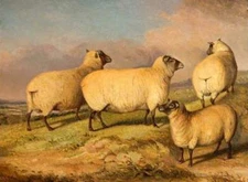 perfect 36x24 oil painting handpainted on canvas "sheep"@N10067