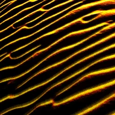 Abstract Collection - Lines in the Sand - 24" x 24" Canvas Art Poster