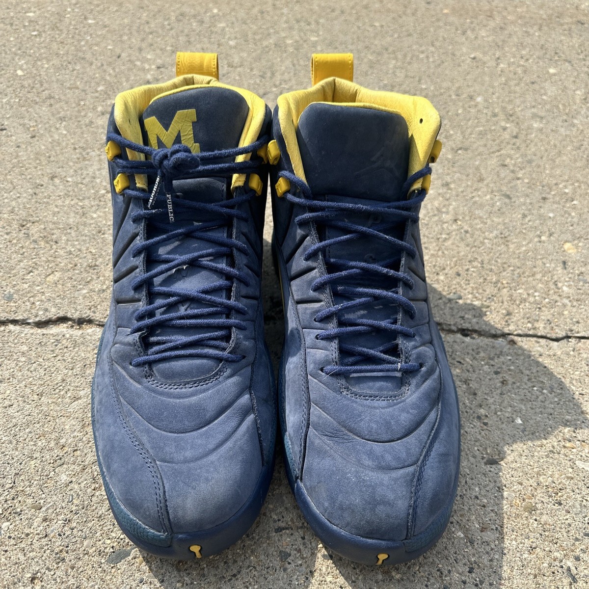 michigan 12s pe