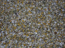 CAMOMILLA FIORI ( Sicilia che gusto )  100G 