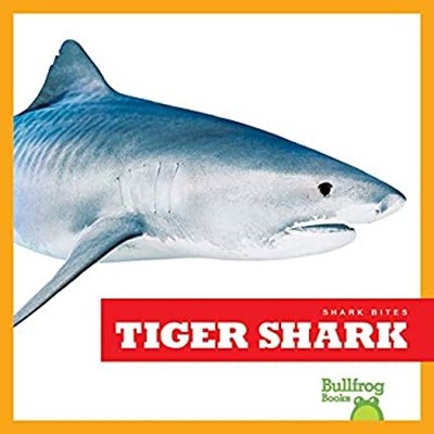 Tiger Shark Hardcover Jenna Lee Gleisner