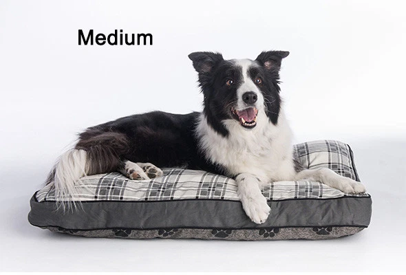 MyPillow Dog Bed - Image 4 of 4