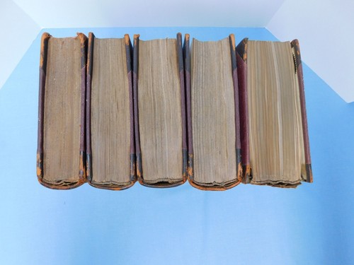 BAY VIEW MAGAZINE ~ Volumes 3 - 12 (1895-1905) -- in 5 bound books - Imagen 2 de 10