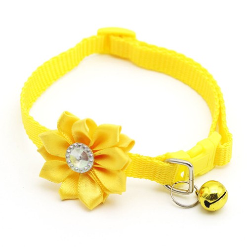 Collare per Cani in Nylon Resistente Fibbia in Metallo Collare Morbido Imbottito S M L XL Regolabile - Foto 19 di 26