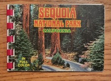 Vintage Sequoia National Park California Full Color 4" Picture Book Photography